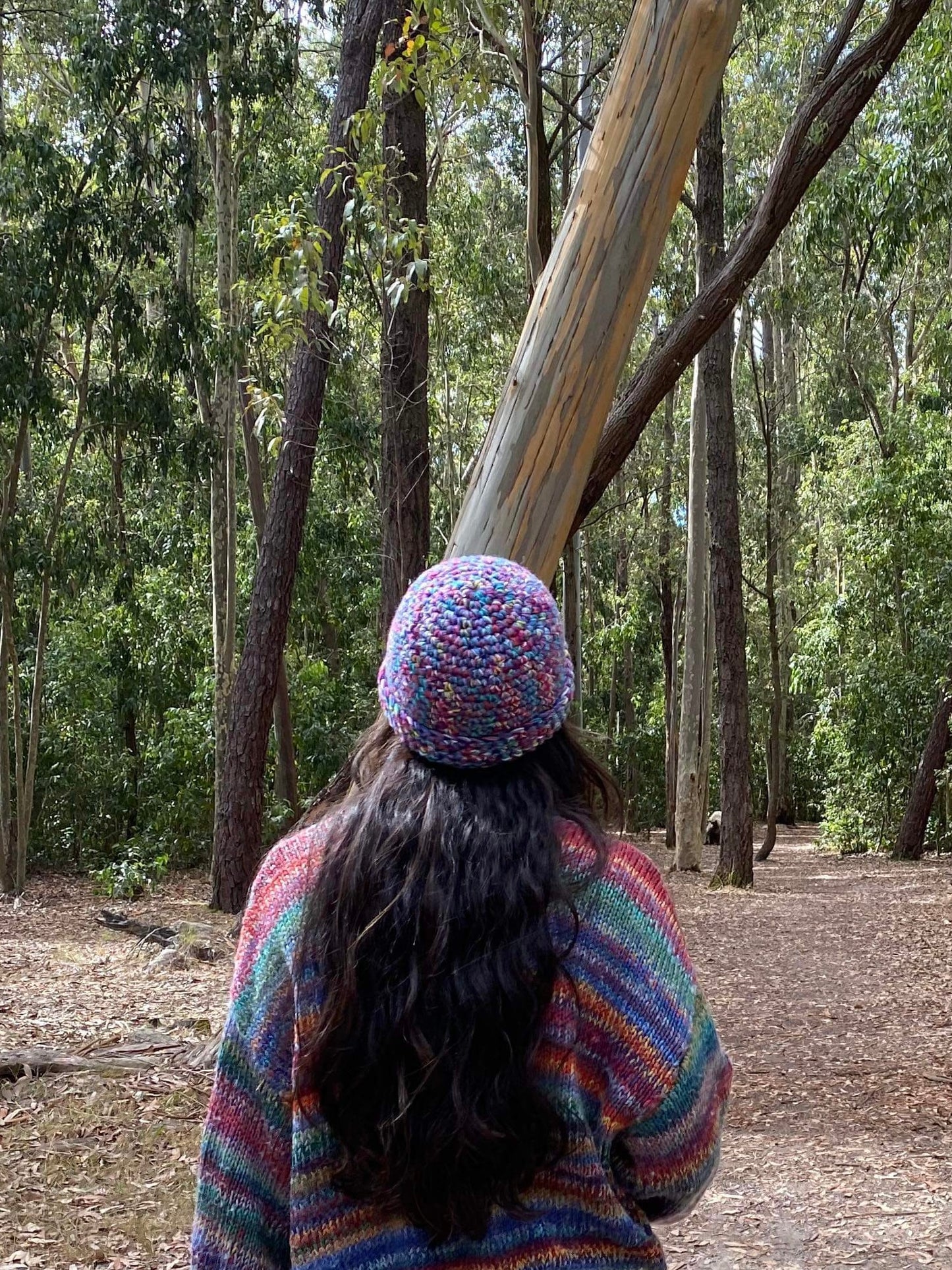 Rainbow Beanie